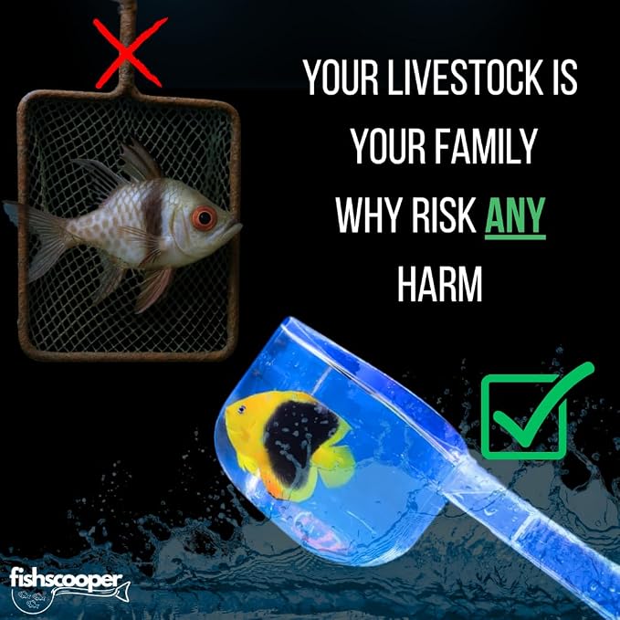 Fish Scooper, Acclimation Container, Fish Trap, Floating Fish Net, Axolotl Tank - Image 5