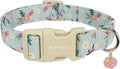 Cotton Dog Collar, Adjustable Puppy Dog Collars, Cute Girl or Boy Dog Collar by Unknown