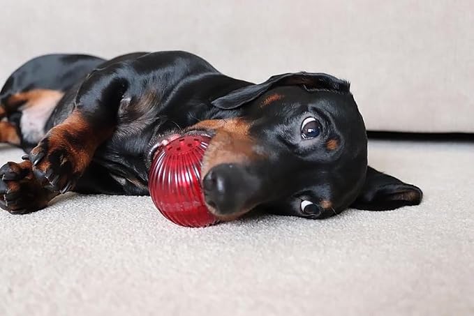 Pet Qwerks Blinky Babble Ball - Image 2