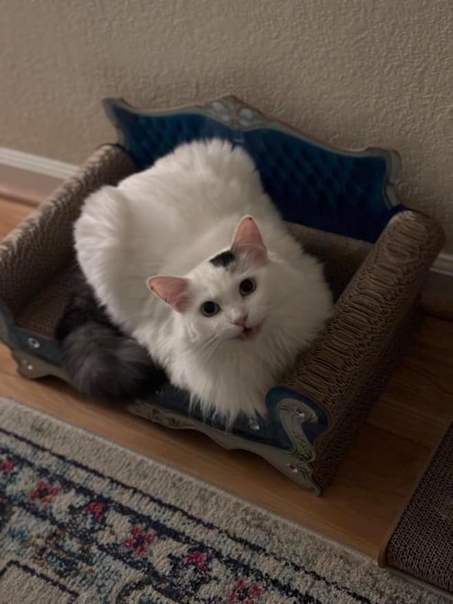 Luxury Cardboard Cat Scratcher Sofa Bed, Couch Shaped Cat Scratching Board - Image 9