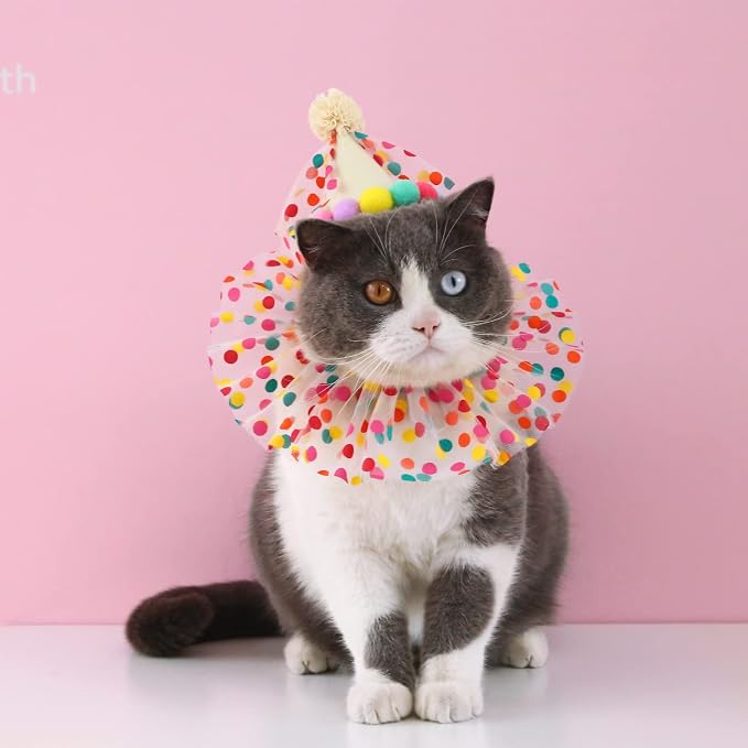 Cat Dog Princess Costumes Puppy Cat Birthday Bandana Scarf and Party Hat Cute - Image 6
