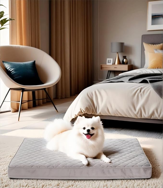 Orthopedic Dog Beds for Small Dogs Waterproof by NUPIDAPet%E2%80%99sHome