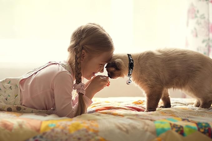 2PCS Breakaway Cat Collars - Image 5