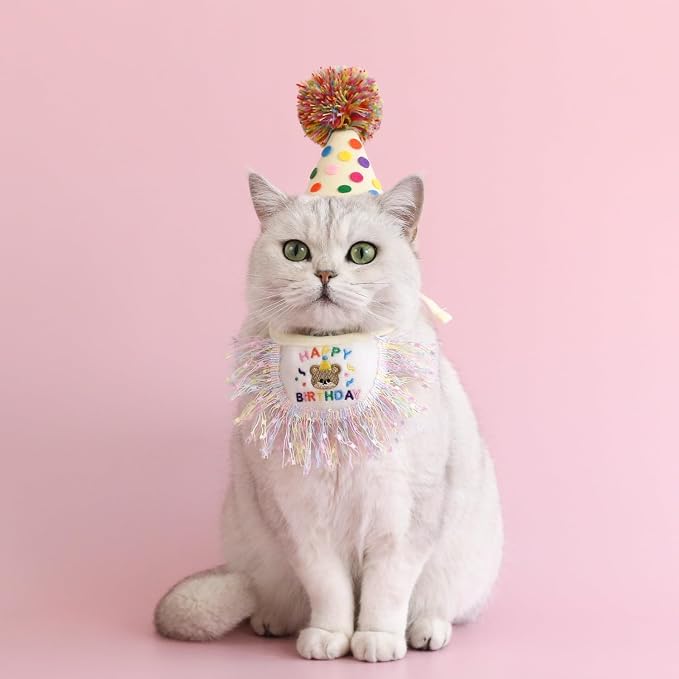 Cat Birthday Bandana Scarf and Party Hat Cute Tassels Bib Scarf and Birthday - Image 7
