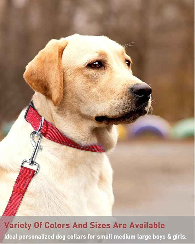 Reflective Dog Collar with Buckle Adjustable Safety Nylon Collars
