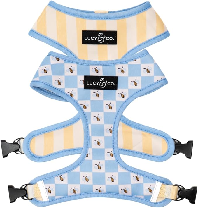 Lucy & Co. Bumbling Around Reversible Dog Harness, Adjustable Comfort Fit by LucyCo