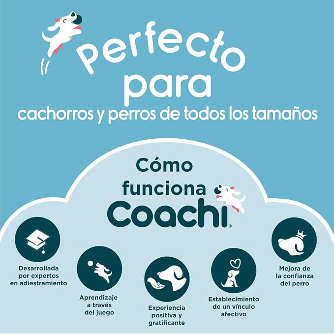 Company of Animals Coachi Target Stick, Telescopic Design - Image 3