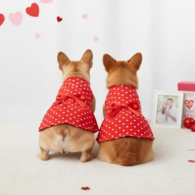 Valentine's Day Red Dog Dress, Cute White Heart Print & Satin Bow - Image 7