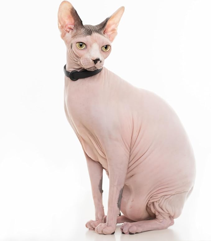 Silicone Cat Collar - Image 7