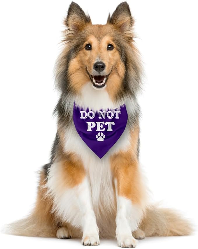 Do Not Pet Dog Bandana, Funny Cute Dog Bandana, Pet Dog Triangle Scarf - Image 3