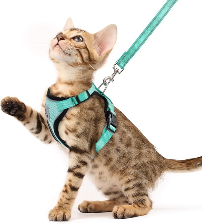 PUPTECK Cat Harness and Leash Set Escape Proof Reflective Cat Walking Harness by PUPTECK