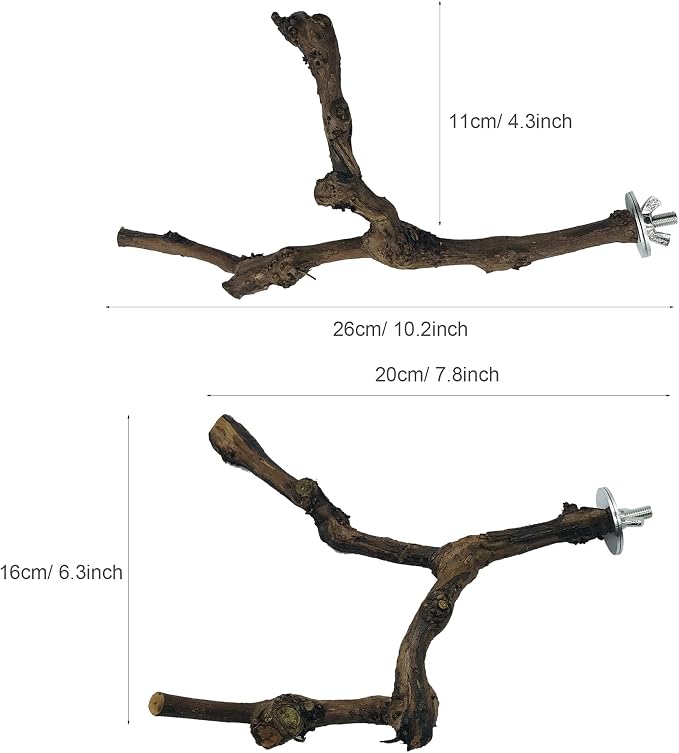 Allazone 4-Piece Bird Perch - Image 5