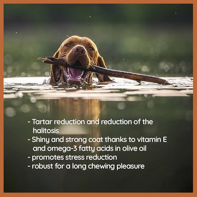 Wildfang® Olive Wood Chewing Sticks - Image 5