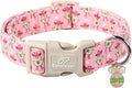 Easter Dog Collar for Small Dogs