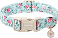 DOGWONG Floral Dog Collar, Cute Adjustable Flower Collar, Girl Female Dog Collar by DOGWONG