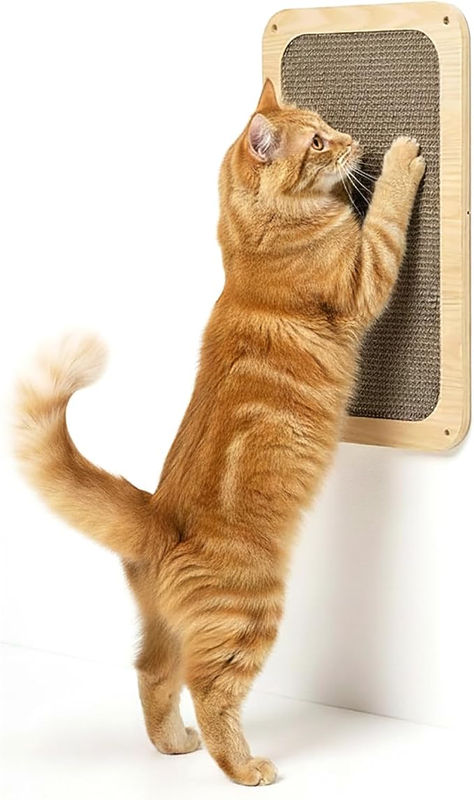 Cat Wall Shelves for Cat Wall Steps, Wooden Floating Modern Mounted Space - Image 3