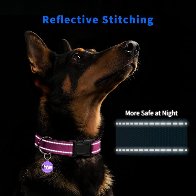 Reflective Dog Collar for Extra Small Dogs - Image 3
