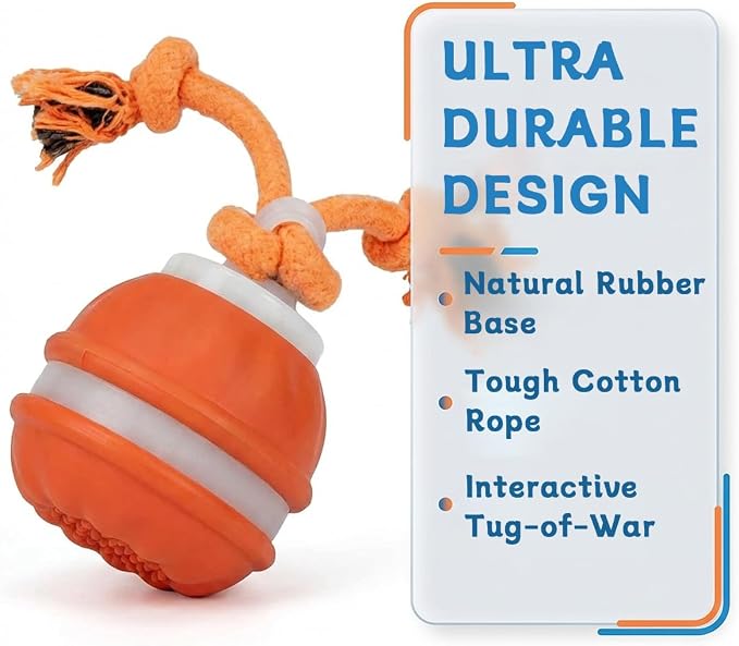 Interactive Dog Toys ，2026 upgraded motion-sensing pet toy ball, interactive - Image 5