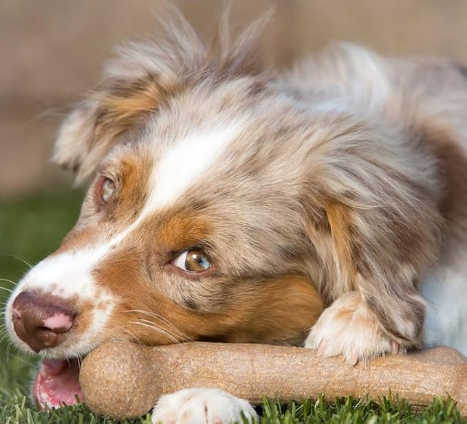 Pet Qwerks Dinosaur BarkBone - Image 3