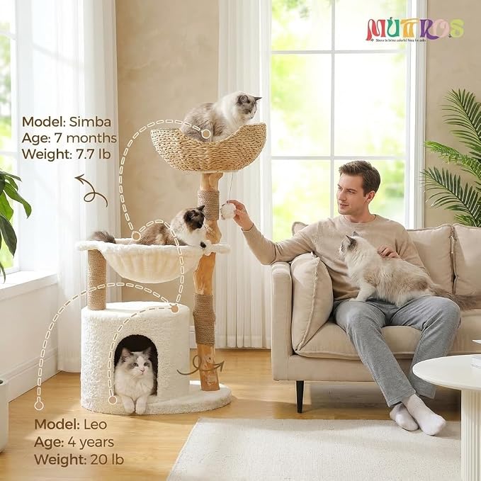 Modern Cat Tree for Large Cats, Wood Cat Tower for Indoor Cats, Real Branch - Image 4