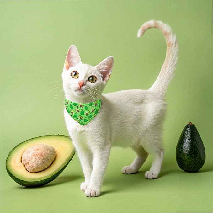 EXPAWLORER Cute Cat Collar Breakaway - Image 6