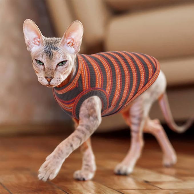 BRKURLEG Sphynx Hairless Cats Shirt Puppy Clothes Soft Cotton T-Shirts Cute - Image 7