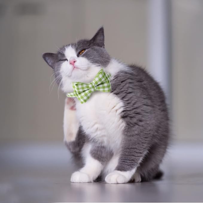 AIITLE Breakaway Cat Collar - Image 4