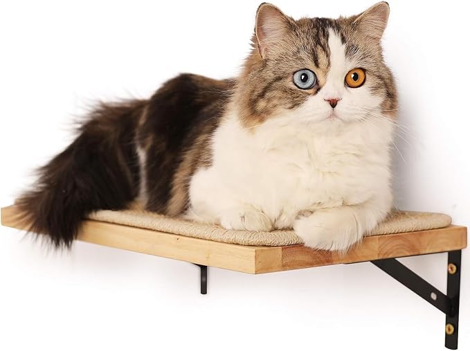 FUKUMARU Cat Wall Shelves, 17 x 10 Inch Cat Walls Furniture by FUKUMARU