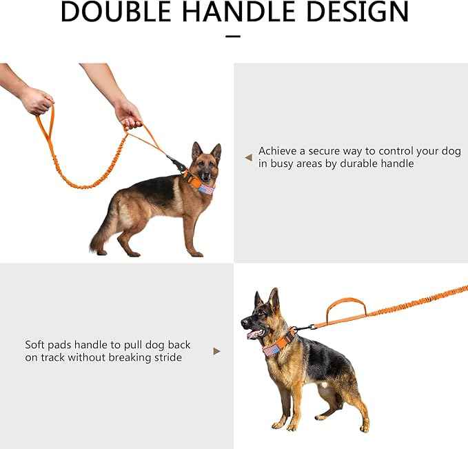DAGANXI Tactical Dog Collar, Adjustable Military Training Nylon Dog Collar