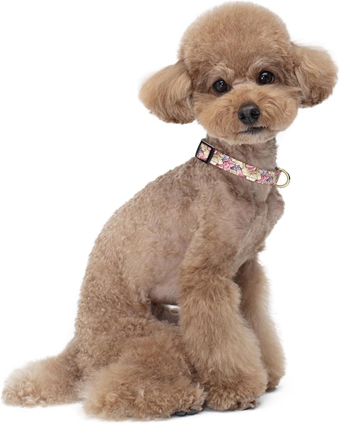 Reflective Dog Collar for Small Dogs, Cute Flower Theme Adjustable Heavy-Duty - Image 2