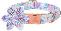 Lionheart Glory Cute Floral Pattern Adjustable Dog Collar by LionheartGlory