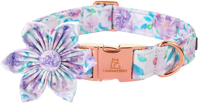 Lionheart Glory Purple Dog Collar by LionheartGlory