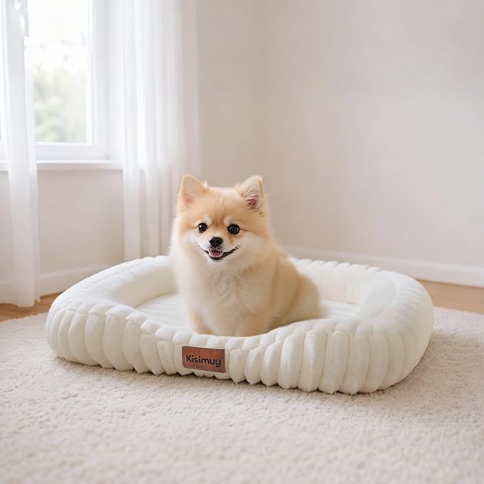 Orthopedic Dog Bed for Small Medium Dogs & Cats by Unknown