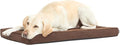 Barkbox Orthopedic Dog Bed by BARK