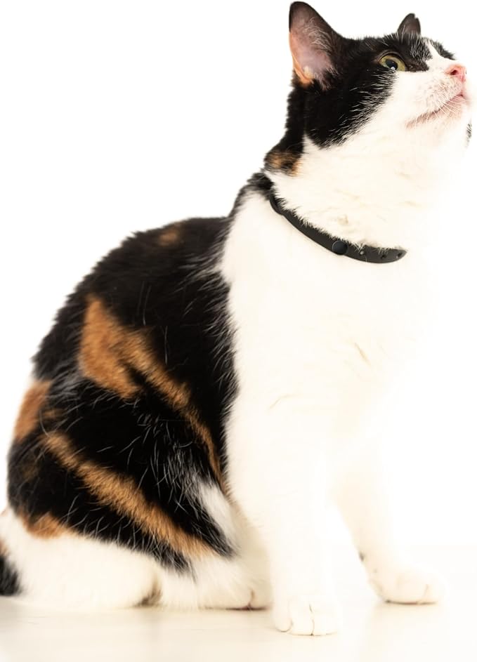 3 Pack Breakaway Cat Collar - Image 9