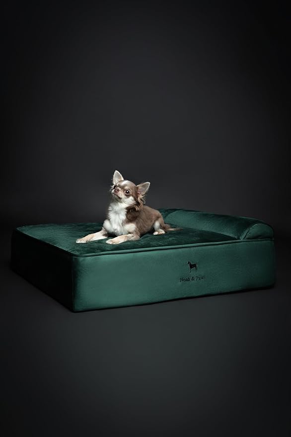 NOAH & PAW Dog Bed, Orthopedic Dog Beds - Image 6