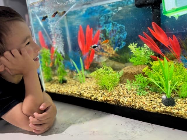 Aquarium Stone for Natural Water Clarification and Odor Removal Featuring - Image 8