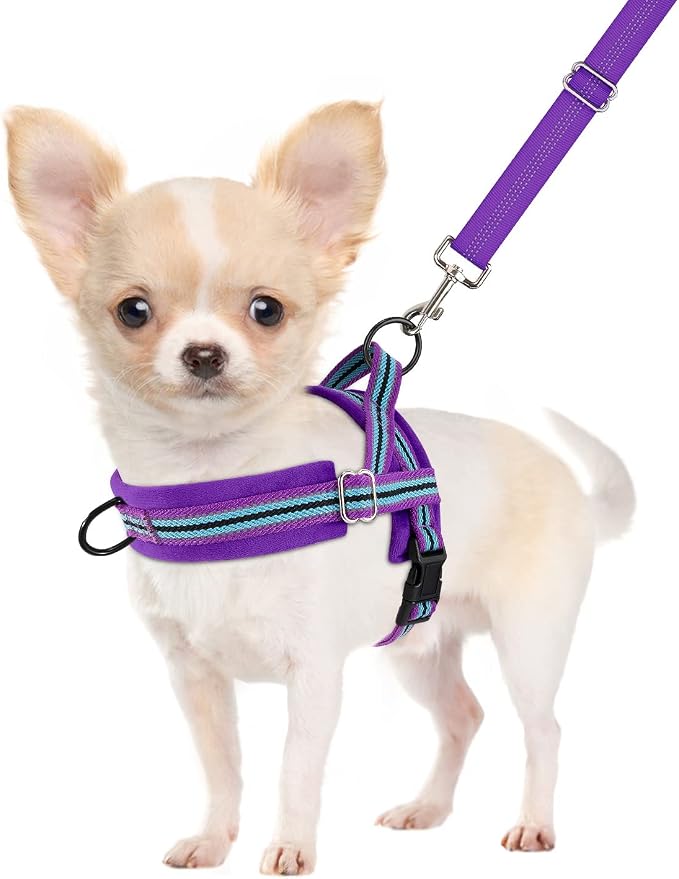 SlowTon No Pull Small Dog Harness and Leash Set, Puppy Soft Vest Harness Neck & by SlowTon