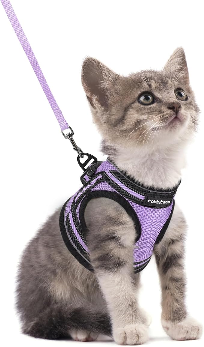 rabbitgoo Cat Harness and Leash Set by rabbitgoo