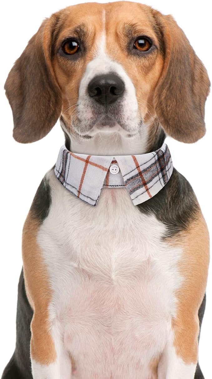 Faleela Cotton Plaid Shirt Style Dog Collar Soft Cute, Boy Dog Collar - Image 3