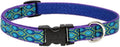 LupinePet Originals 3/4" Rain Song 15-25" Adjustable Collar by LupinePet