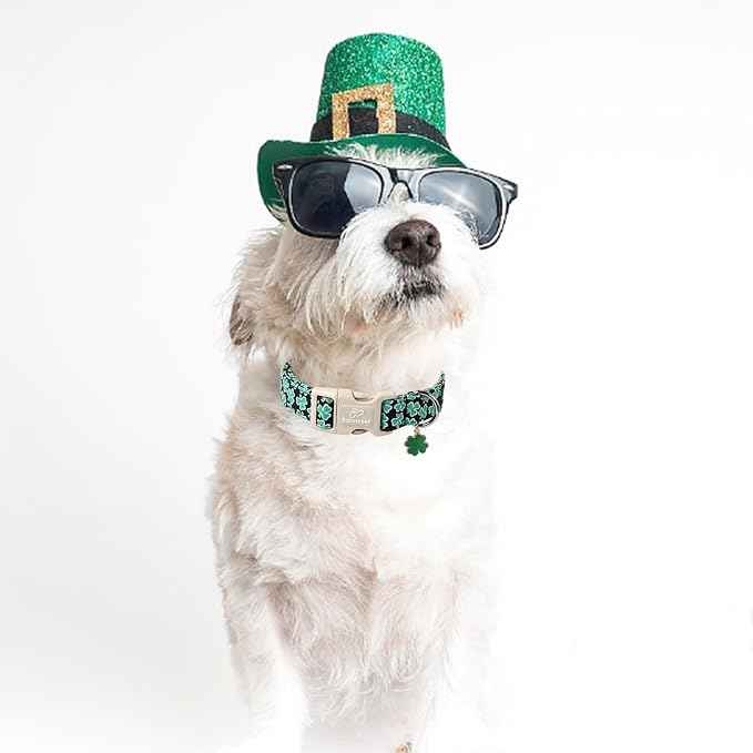 St Patricks Day Dog Collar for Medium Dogs
