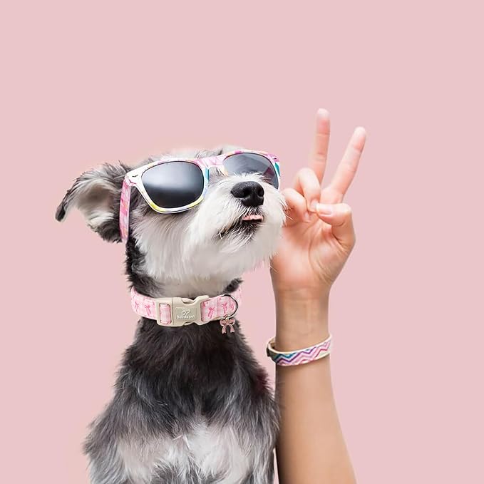 Girl Dog Collar for Puppy Small Dogs - Image 6