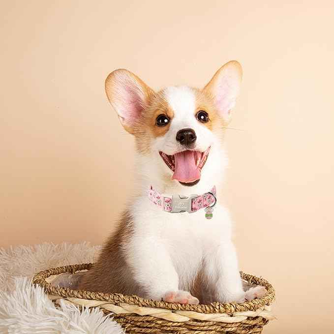 Easter Dog Collar for Small Dogs