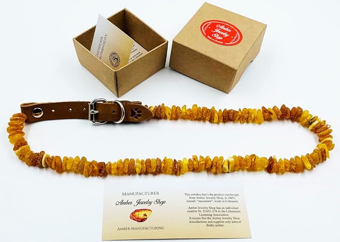 Amber Collars for Dogs & Cats - Image 9