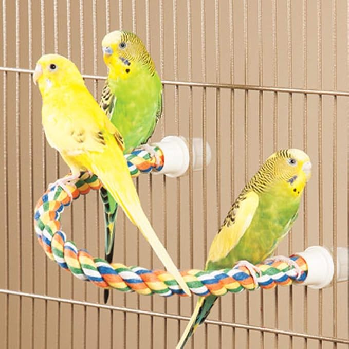 JW Pet Comfy Perch For Birds Flexible Multi-color Rope, Medium - Image 4