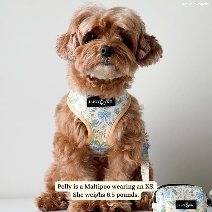 Lucy & Co. Sunshine and Daffodils Reversible Dog Harness, Adjustable Comfort Fit - Image 3