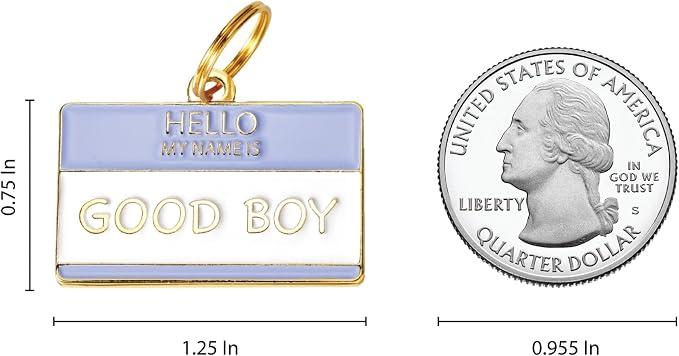 Two Tails Pet Company Personalized 'Good Boy' Pet ID Tag & Collar Charm - Image 2