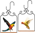 2 Pack Hummingbird Swings and Perches, Metal Frame Bird Swing by Unknown