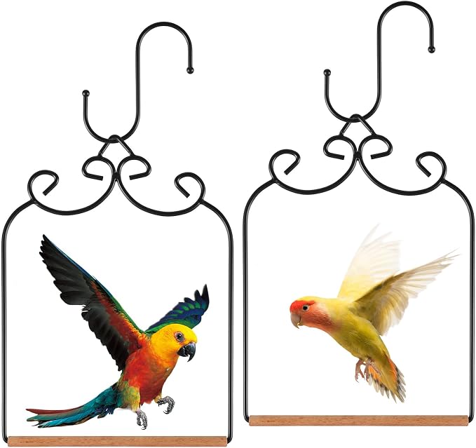 2 Pack Hummingbird Swings and Perches, Metal Frame Bird Swing by Unknown